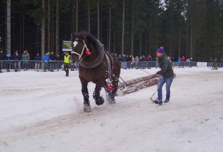 XX Zawody Furmanów