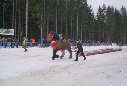 XX Zawody Furmanów