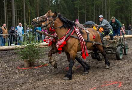 Zawody Furmanów 2023