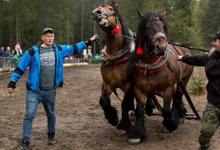 Zawody Furmanów 2023