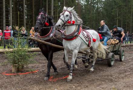 Zawody Furmanów 2023