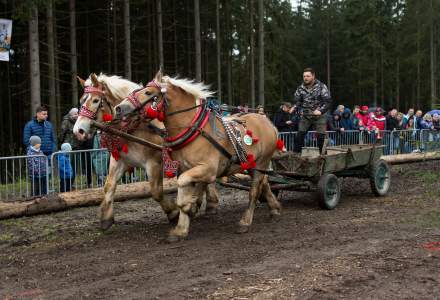 Zawody Furmanów 2023