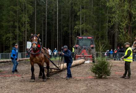 Zawody Furmanów 2023