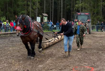 Zawody Furmanów 2023