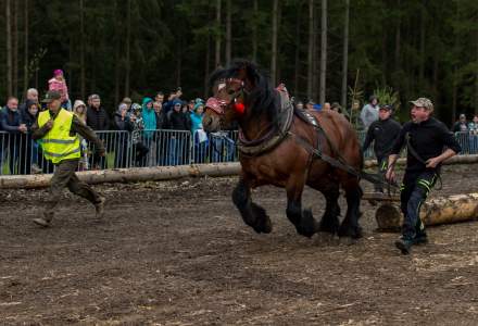 Zawody Furmanów 2023