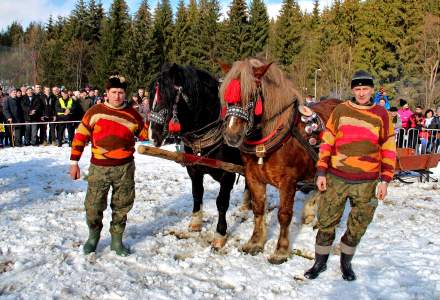 XV Zimowe Zawody Furmanów