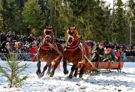 XV Zimowe Zawody Furmanów