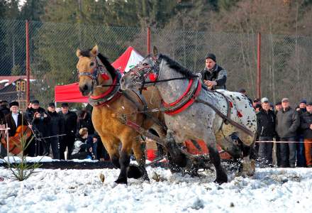 XV Zimowe Zawody Furmanów