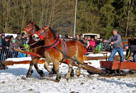 XV Zimowe Zawody Furmanów