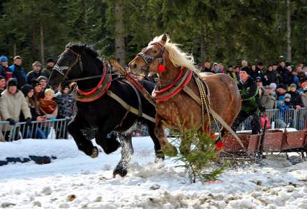 XV Zimowe Zawody Furmanów