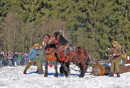 XV Zimowe Zawody Furmanów