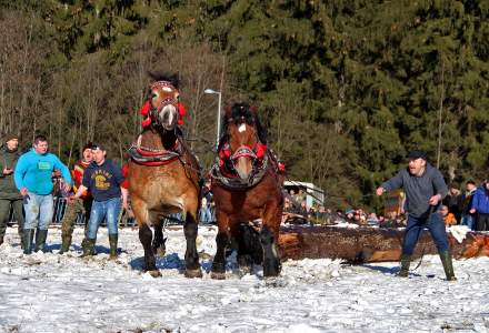 XV Zimowe Zawody Furmanów