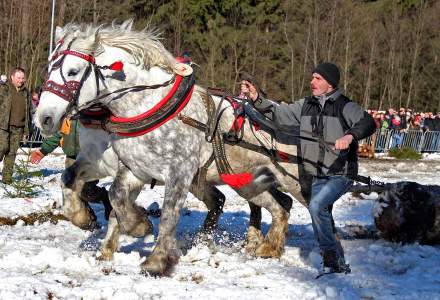 XV Zimowe Zawody Furmanów