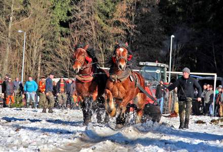 XV Zimowe Zawody Furmanów