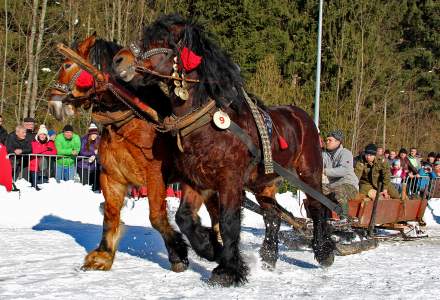 Zimowe Zawody Furmanów 2017