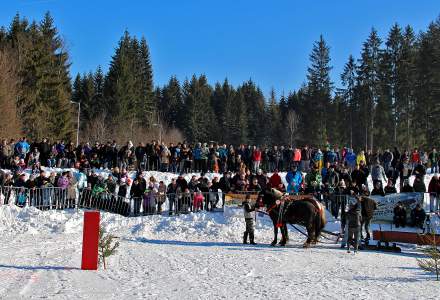 Zimowe Zawody Furmanów 2017