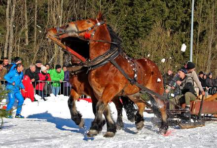 Zimowe Zawody Furmanów 2017