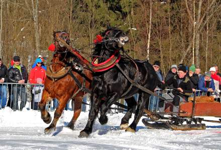 Zimowe Zawody Furmanów 2017