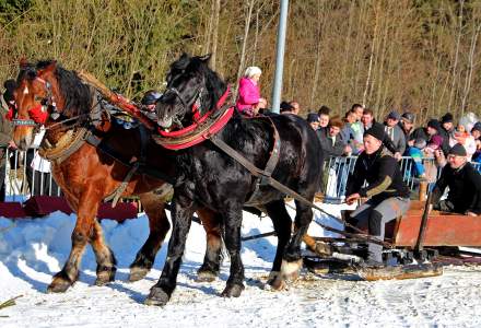 Zimowe Zawody Furmanów 2017