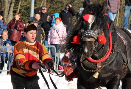 Zimowe Zawody Furmanów 2017