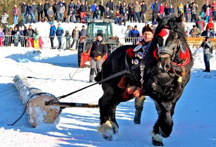 Zimowe Zawody Furmanów 2017