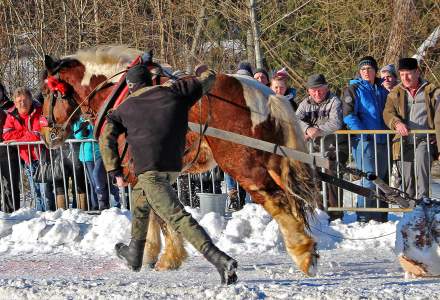 Zimowe Zawody Furmanów 2017