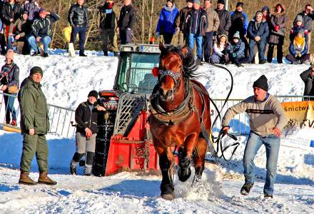 Zimowe Zawody Furmanów 2017