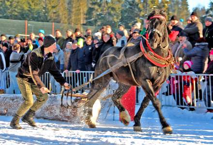 Zimowe Zawody Furmanów 2017