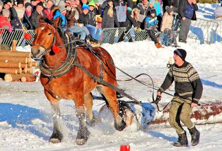 Zimowe Zawody Furmanów 2017