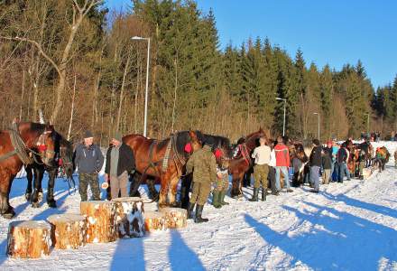 Zimowe Zawody Furmanów 2017