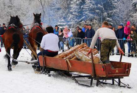 XVII Zimowe Zawody Furmanów