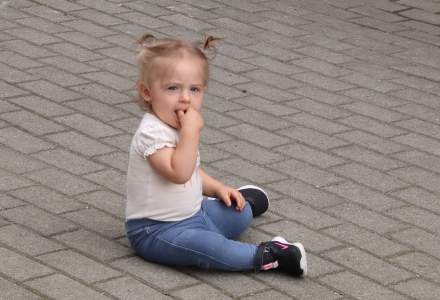 Festyn Istebniański