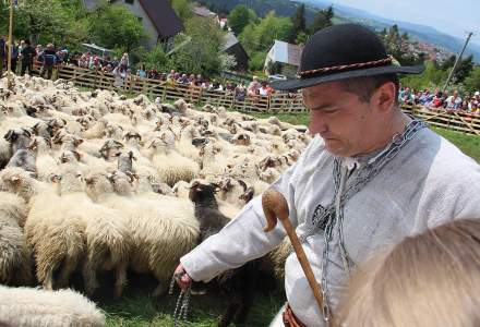 Miyszani Owiec w Koniakowie