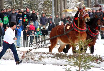 XVII Zimowe Zawody Furmanów