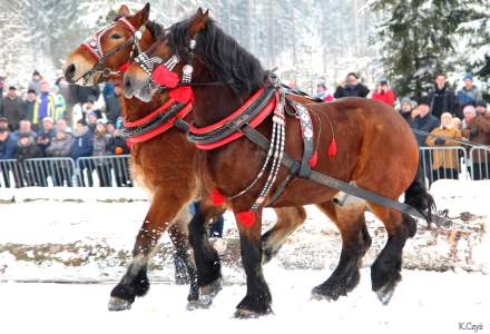 XVII Zimowe Zawody Furmanów