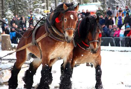 XVII Zimowe Zawody Furmanów