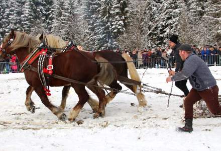 XVII Zimowe Zawody Furmanów