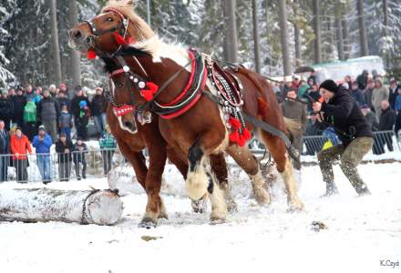 XVII Zimowe Zawody Furmanów