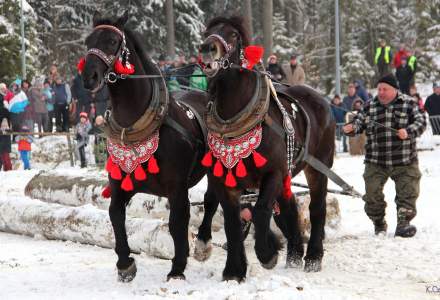 XVII Zimowe Zawody Furmanów