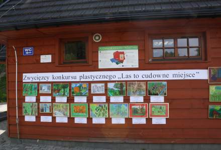 Piknik Leśny