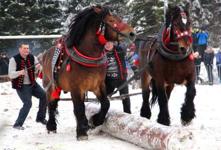 XVII Zimowe Zawody Furmanów