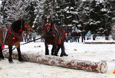 XVII Zimowe Zawody Furmanów