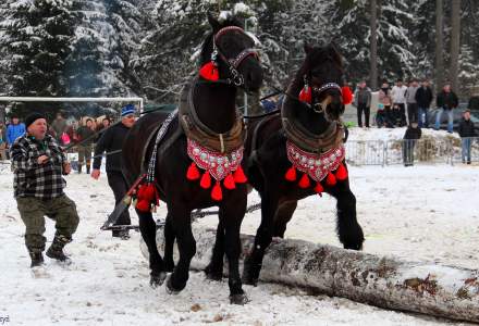 XVII Zimowe Zawody Furmanów