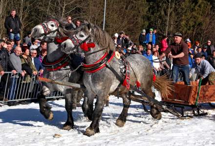 Zawody Furmanów 2019