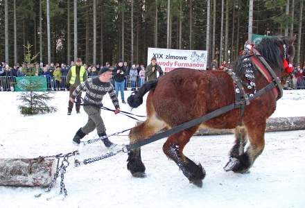 XIX Zawody Furmanów