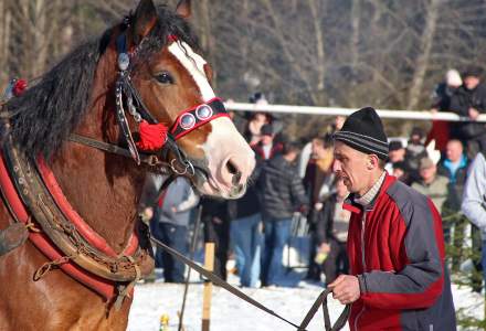 Zawody Furmanów 2019