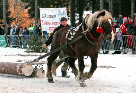 XIX Zawody Furmanów