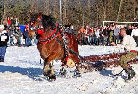 Zawody Furmanów 2019