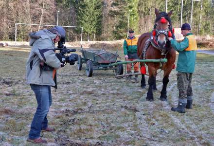 Promocja Projektu Konie w Beskidach