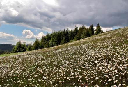 Wiosenne klimaty